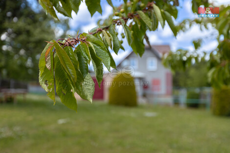 908/foto12_11327109_t5pqk.jpg