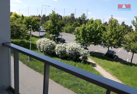 908/foto12_11348233_1moryc.jpg