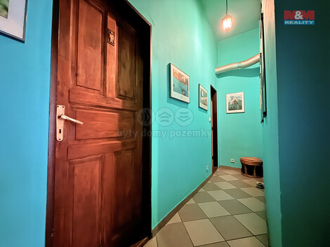 909/foto12_11325886_19glfs.jpg