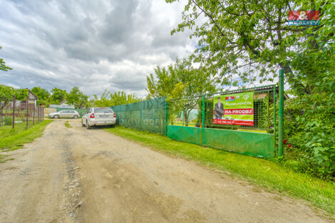 909/foto12_11330049_53d8g.jpg