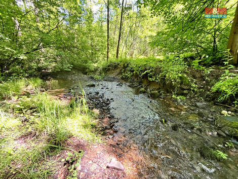 909/foto12_11331978_pvf90.jpg