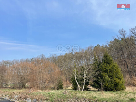 909/foto12_11345030_8f4cg.jpg