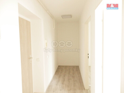 909/foto12_11353369_1n0cmc.jpg