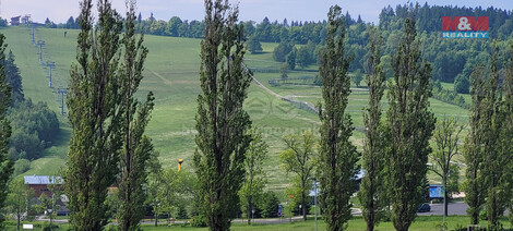 909/foto12_11372528_ados0.jpg