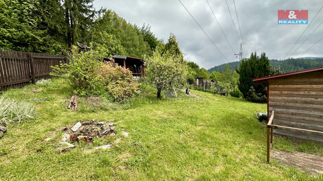 910/foto12_11327646_1cxtgo.jpg