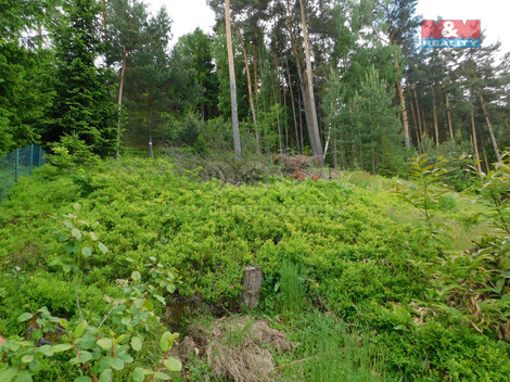 910/foto12_11330096_16drus.jpg