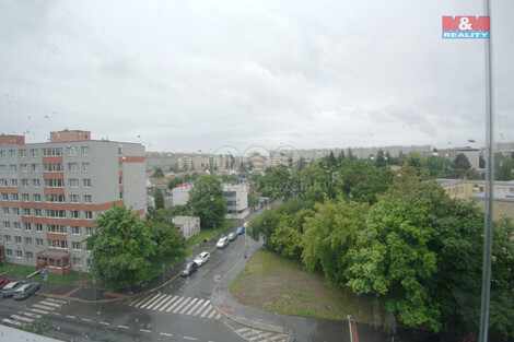 910/foto12_11331986_qqalc.jpg