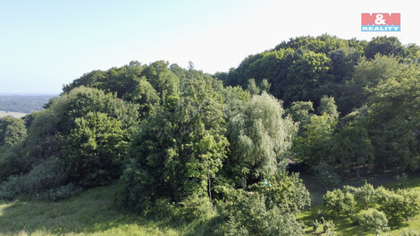 910/foto12_11336241_b3858.jpg