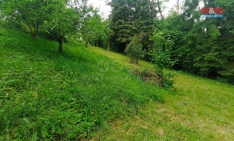 910/foto12_11336441_co3wo.jpg