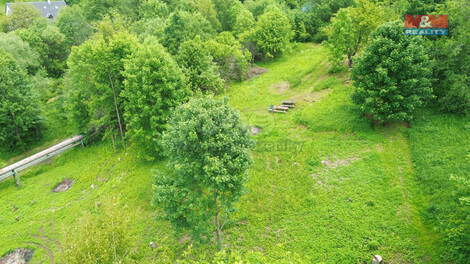 910/foto12_11343868_nfbkg.jpg