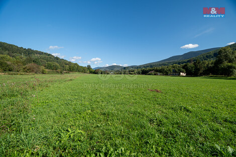 910/foto12_11356243_1lr0ag.jpg