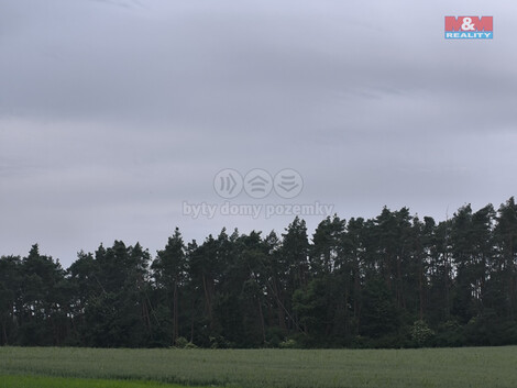 911/foto12_11335589_qmql0.jpg
