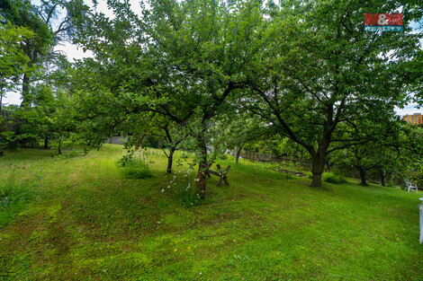 911/foto12_11338919_1mm0hs.jpg