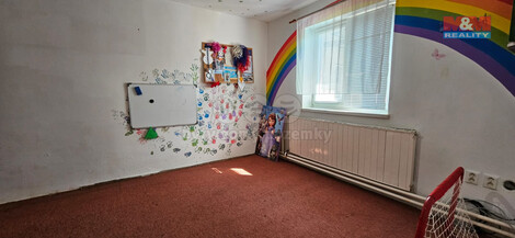911/foto12_11345051_p9x3k.jpg