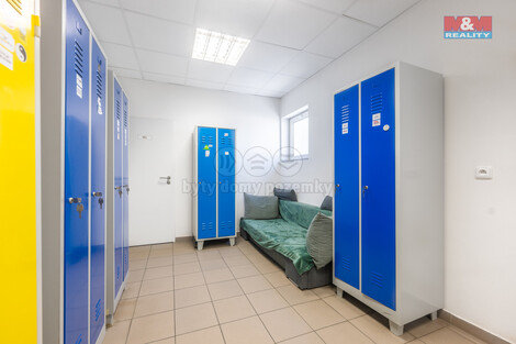911/foto12_11350316_mpvio.jpg