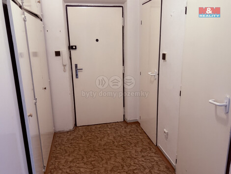 911/foto12_11372496_jujzw.jpg