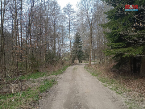 912/foto12_11340504_ctn7o.jpg