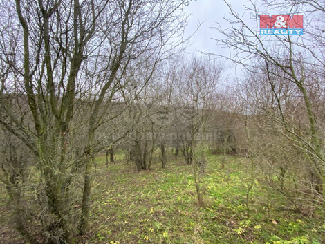 912/foto12_11341786_178wzw.jpg