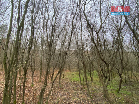 912/foto12_11341786_d00do.jpg