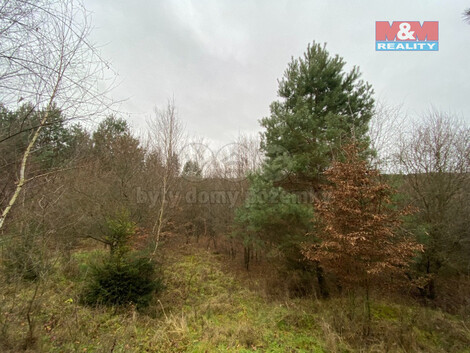 912/foto12_11341786_mfm2o.jpg