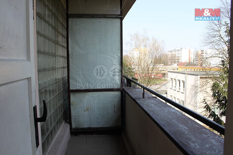 912/foto12_11366235_mucxs.jpg