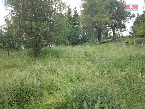 913/foto12_11343086_1bp24c.jpg