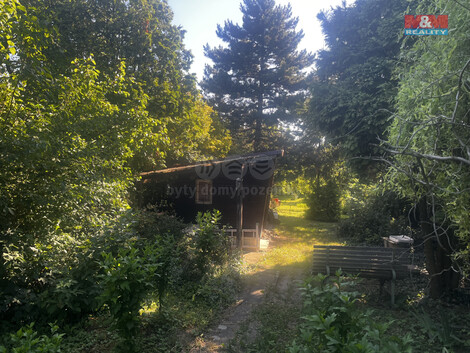 913/foto12_11345075_5qjhs.jpg