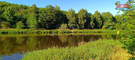 913/foto12_11346135_1hlsdk.jpg