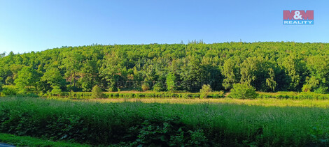 913/foto12_11346135_mtzqs.jpg