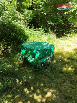 913/foto12_11351965_jww98.jpg
