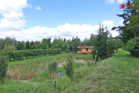 913/foto12_11355306_1fzjuk.jpg