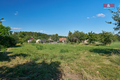913/foto12_11366229_zubgs.jpg