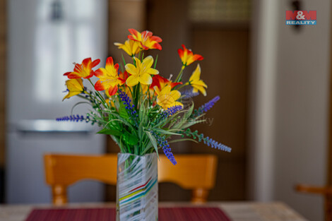914/foto12_11348729_3lbk0.jpg