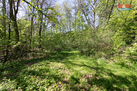 914/foto12_11349503_1lb5m0.jpg