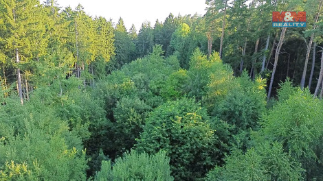 914/foto12_11351940_1d1yro.jpg
