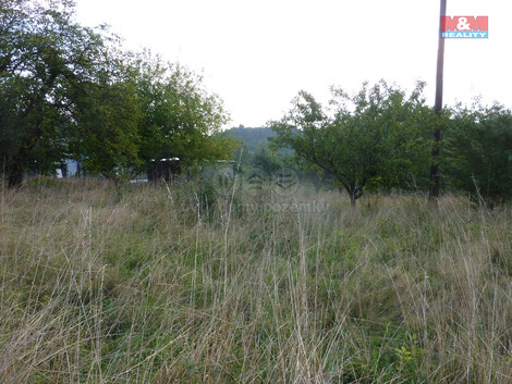 914/foto12_11364921_1dnqvg.jpg