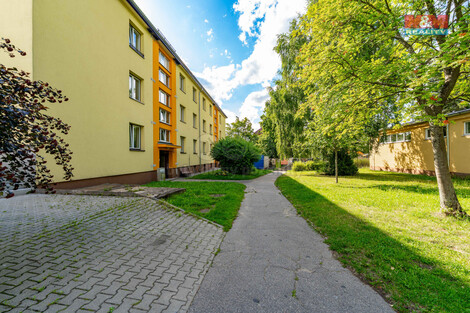 914/foto12_11380450_sodz0.jpg