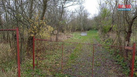 915/foto12_11352637_yctxc.jpg