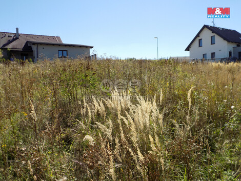 915/foto12_11353349_146co8.jpg