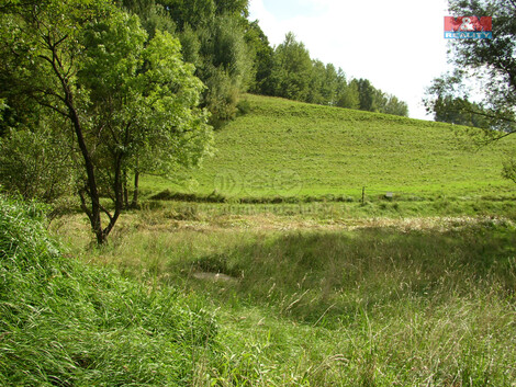 915/foto12_11355337_f7yp4.jpg