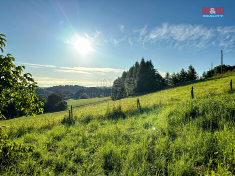 915/foto12_11359113_cxj3s.jpg