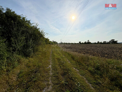 915/foto12_11363934_1jt5jw.jpg
