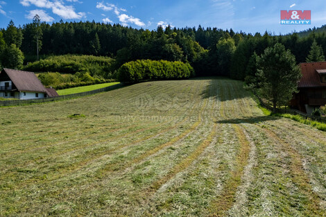 915/foto12_11365013_ohch0.jpg