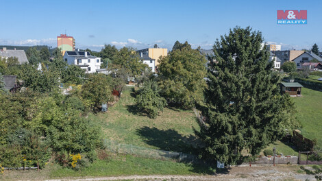 915/foto12_11372055_regqc.jpg