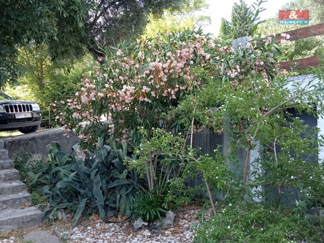 915/foto12_11372519_gw19w.jpg