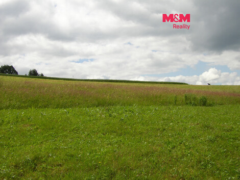 915/foto12_11542761_1k4jns.jpg