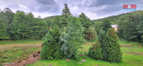 916/foto12_11359173_fjss.jpg