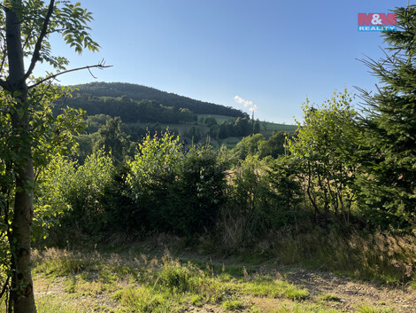 916/foto12_11361907_1d7cr0.jpg