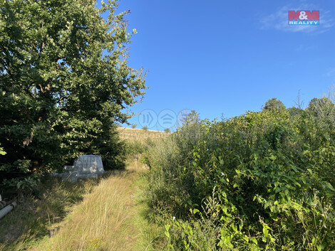 916/foto12_11361907_okr8g.jpg