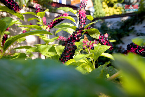 916/foto12_11365474_jlxw.jpg